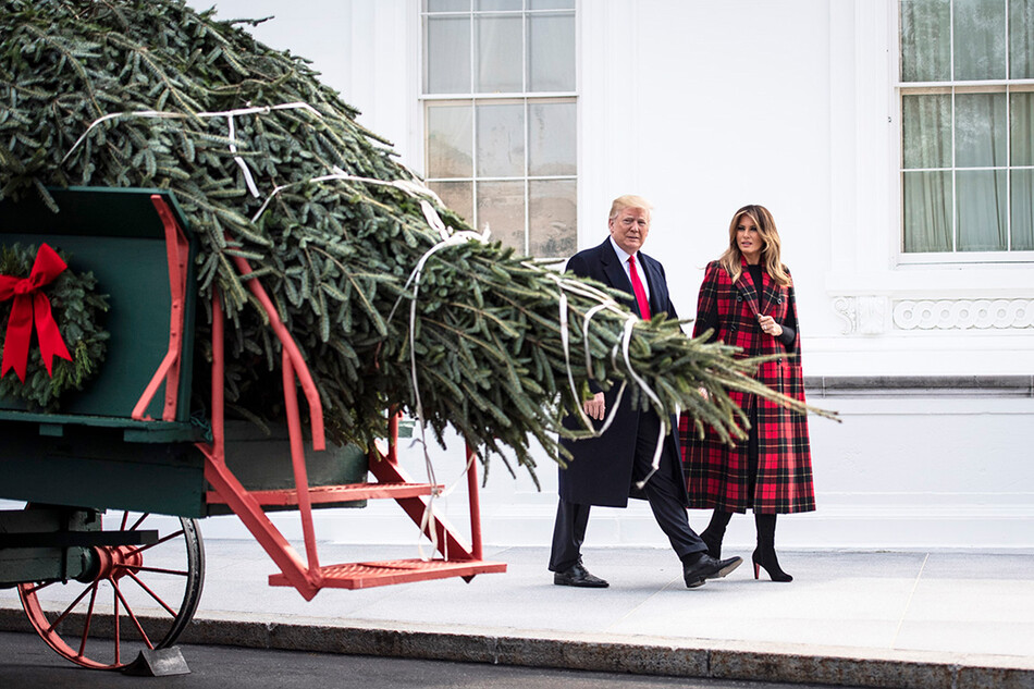 Экс-президент Дональд Трамп и Экс-первая леди Мелания Трамп встречают главную рождественскую ёлку Белого дома 19 ноября 2018 года в Вашингтоне, округ Колумбия, США